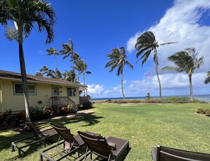 Palm Cottage (2)