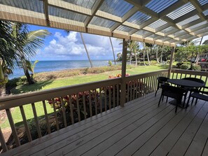 Patio/Lanai View