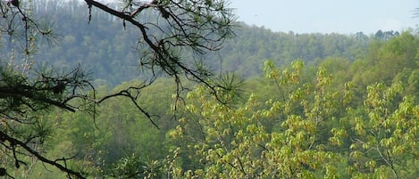 View to Northwest from deck