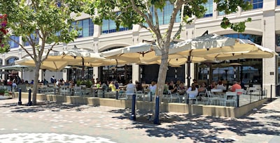 Modern 2BR  in Rockridge / Berkeley, Walkable to Shops, Dining, Grocers, BART