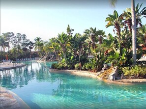 Beautiful Pool