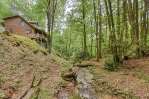 creek view of the cabin