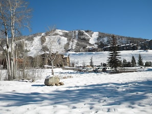 Ulkopuoli
