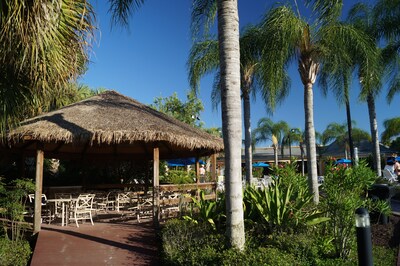 Bahama Bay  Resort - Platinum Deluxe Condo Great for Families or Couples