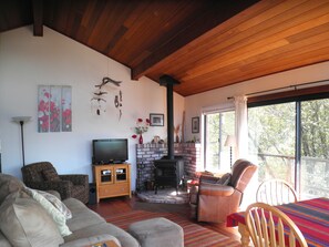 Living room with mountain view, wood stove and HDTV.