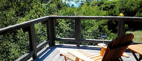 Enjoy peace and quiet, abundant wildlife and beautiful views from our deck.