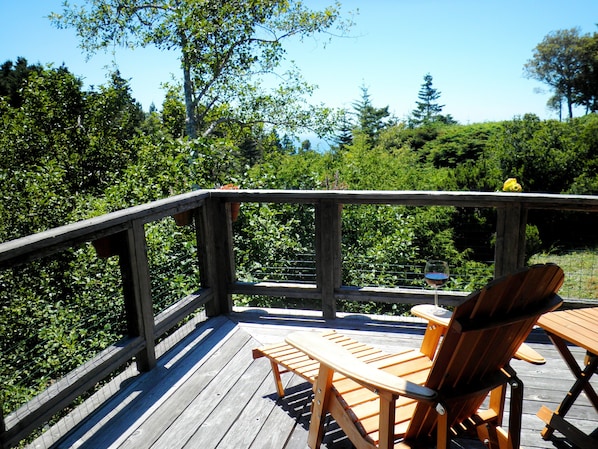 Enjoy peace and quiet, abundant wildlife and beautiful views from our deck.