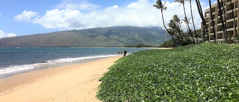 Sugar Beach North View - 5 miles of white sandy beach