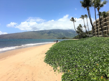 Sugar Beach North View - 5 miles of white sandy beach