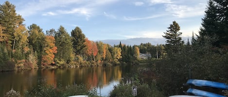 Take a kayak, sup or canoe out onto Mill Pond