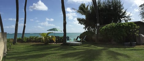 The beachfront yard. (Bocce balls available)