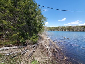 Shoreline