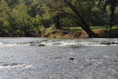 Blueberry Shoals is nestled in the foothills of the Blue Ridge Mountains. 