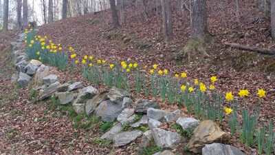 Blueberry Shoals is nestled in the foothills of the Blue Ridge Mountains. 