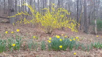 Blueberry Shoals is nestled in the foothills of the Blue Ridge Mountains. 