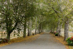 Overnatningsstedets område