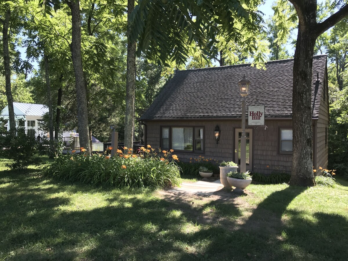 Main Image