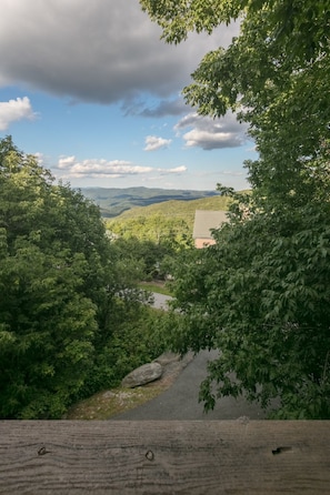 Mountain View and Driveway