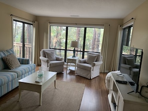 Living Room with a view