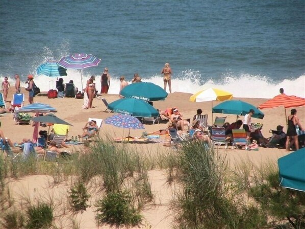 Dune and Beach with Surf