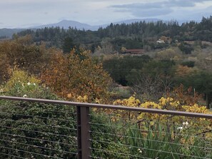 Gorgeous views in Fall/Winter!