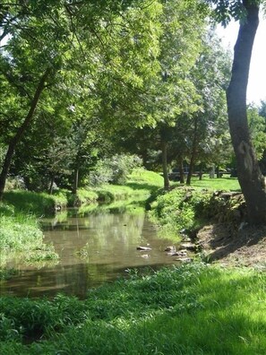 The trickling stream of La Lochere runs alongside the property