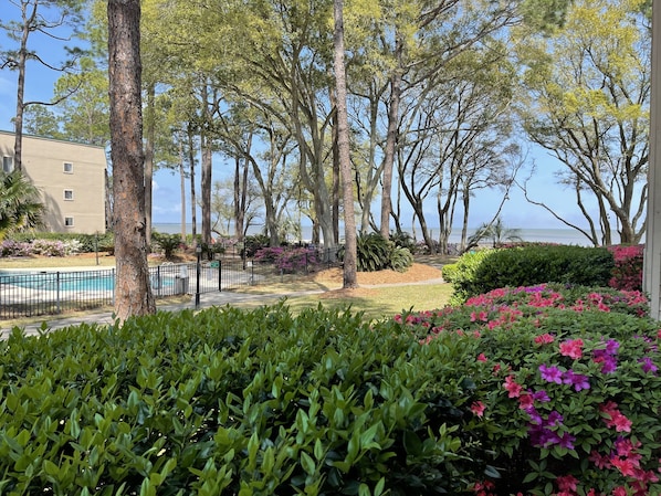 View of the sound and beach from the back porch.