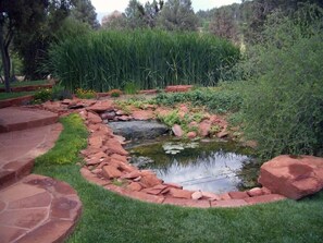Property wetlands and pond