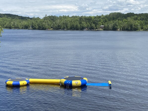 Two water trampolines, log and water Lilly pad