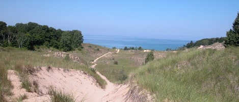 The dune trail leading to beach