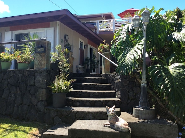 Bungalow style with private entrance and ocean view.