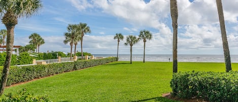 Oceanfront view from the Patio