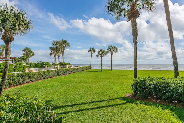 Oceanfront view from the Patio