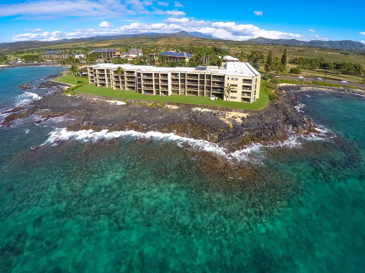 Kuhio Shores 417, Oceanfront, Amazing Ocean View