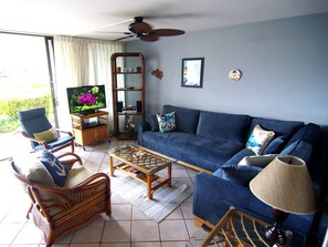 Living room has bluetooth stereo, large flat screen cable TV, Netfix, and Wii