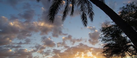 Sunsets at Kamaole 3 are steps away and always breath taking!