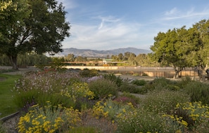 Vast gardens surround entire property & guests are welcomed with fresh flowers