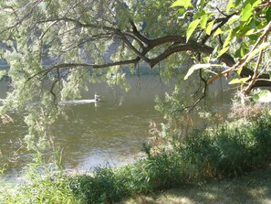 Boendeområde