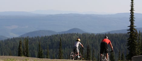 Mountain bike trails to and from condo. 