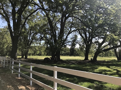 Rough & Ready Vineyard and Guesthouse --  Retreat Center