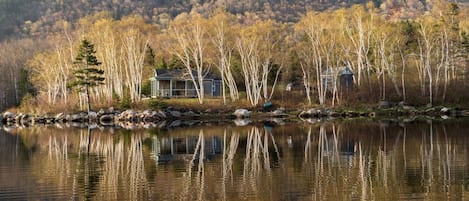 The house on its point, early spring.