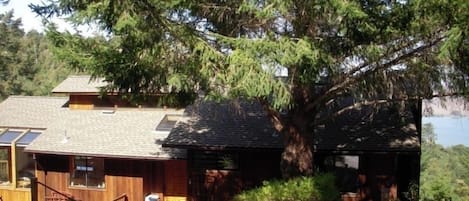 Frank's Place: View home on Inverness Ridge near Point Reyes National Seashore