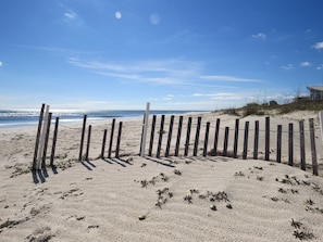 Our Beautiful St. George Sandy Dunes!