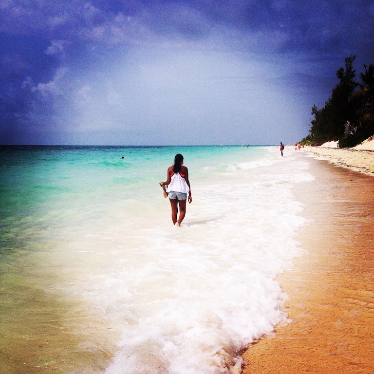 Coconut Palm, Freeport Bahamas