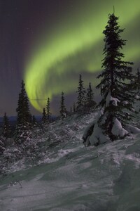 King's Deer Lodge at Denali 