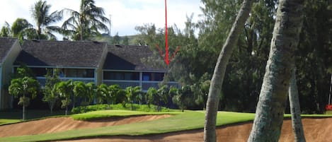 The red arrow marks the spot for 'The 19th Hole' on Fazio Golf Course