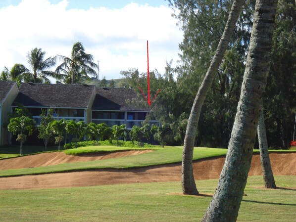 The red arrow marks the spot for 'The 19th Hole' on Fazio Golf Course