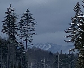 View of Stratton from Cole Pond Rd.