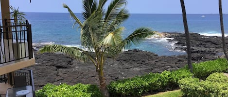 View from lanai