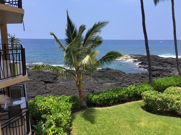 View from lanai